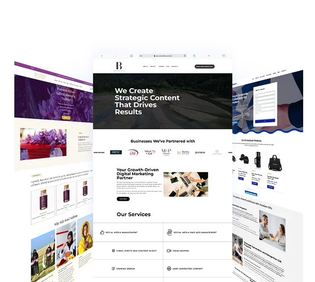 Website Design & Development Services