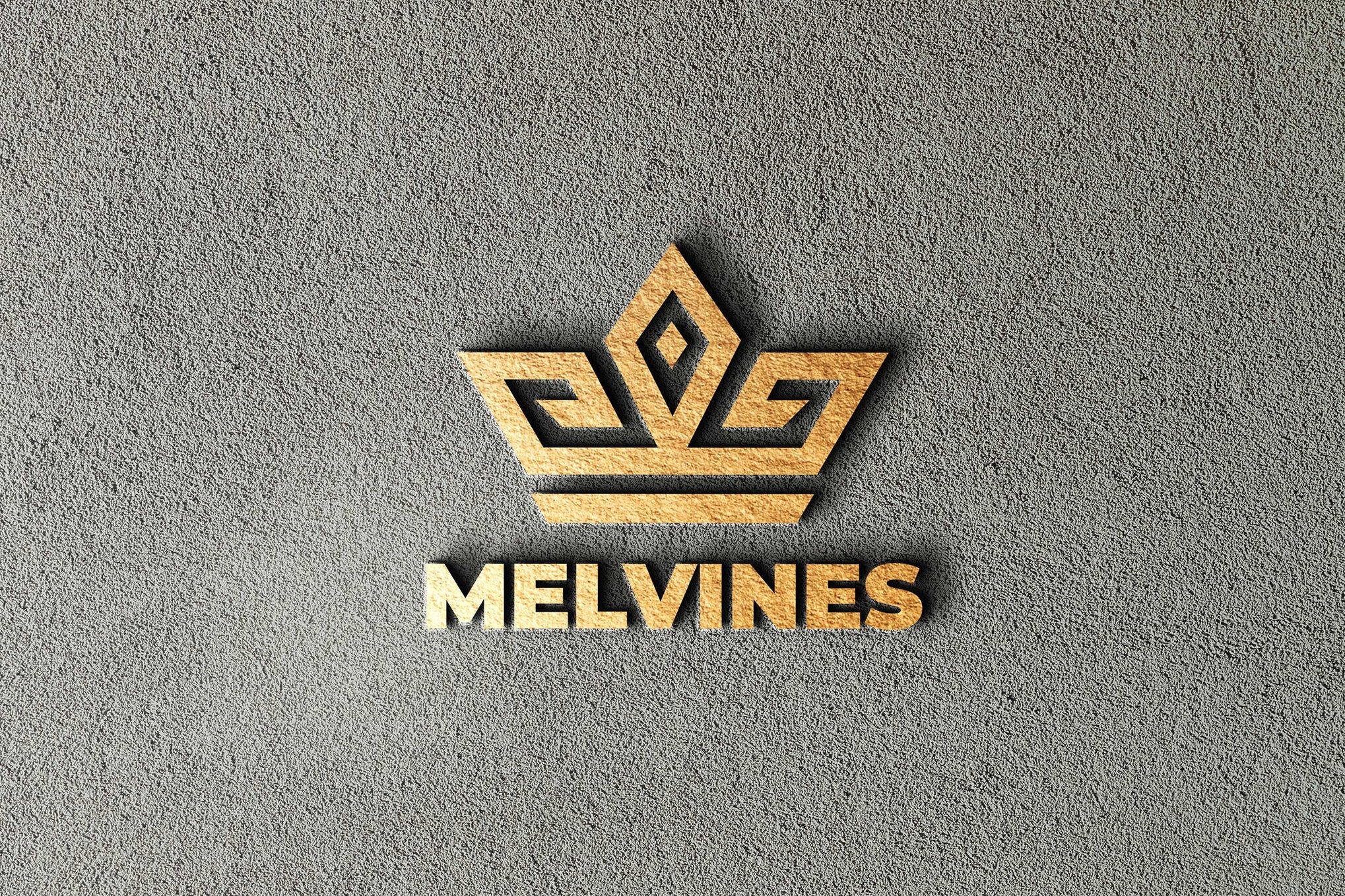 Logo 1